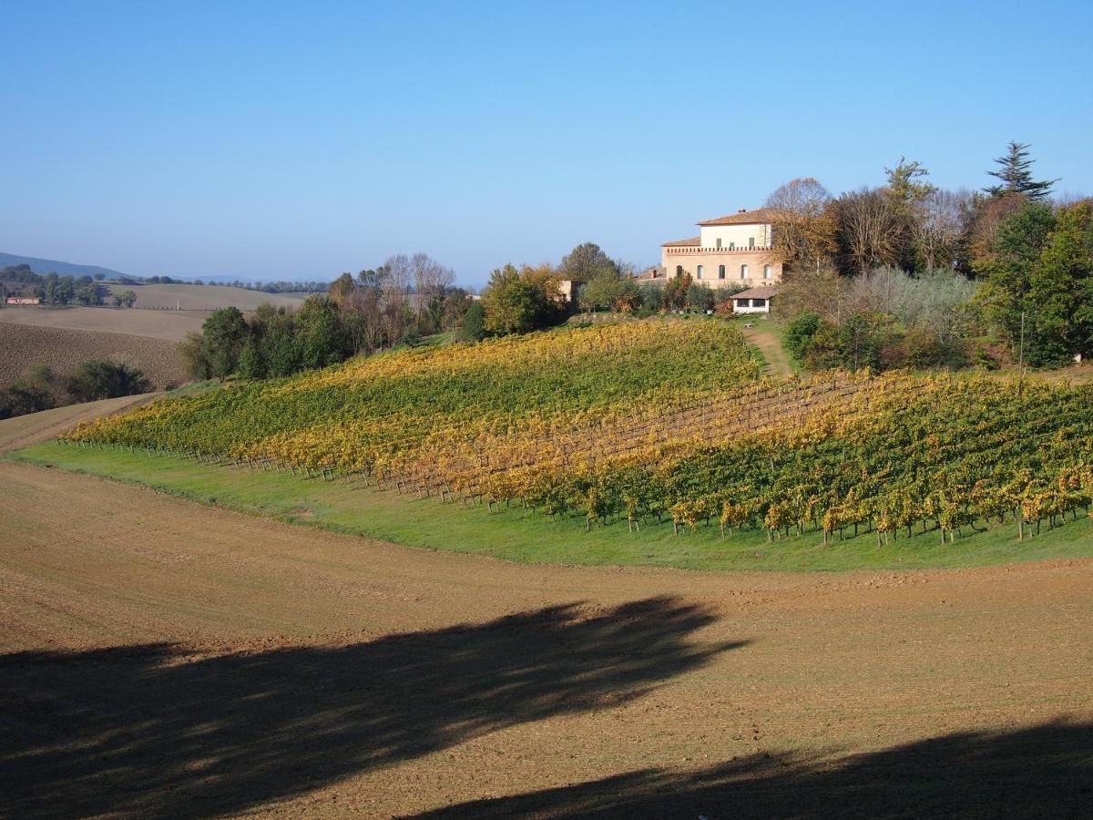 Agriturismo Poggiarellino - Montalcino Exteriér fotografie