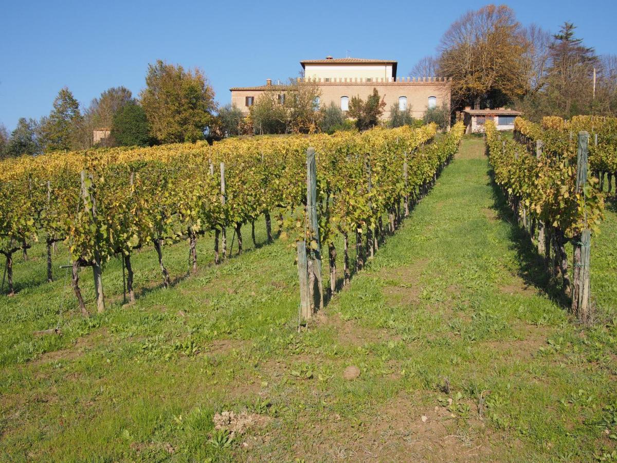 Agriturismo Poggiarellino - Montalcino Exteriér fotografie