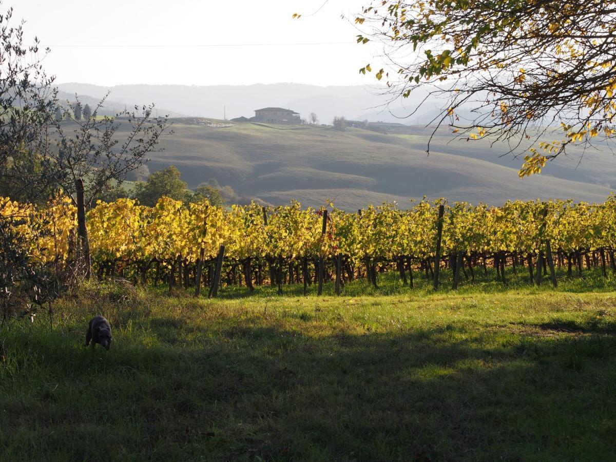 Agriturismo Poggiarellino - Montalcino Exteriér fotografie
