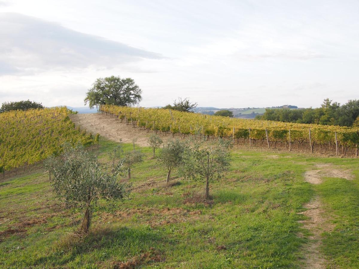 Agriturismo Poggiarellino - Montalcino Exteriér fotografie