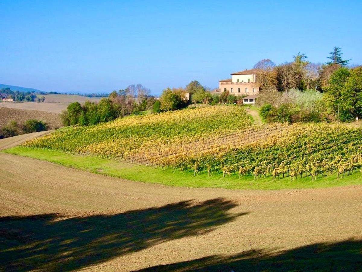 Agriturismo Poggiarellino - Montalcino Exteriér fotografie